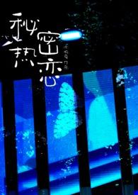 秘密恋情/娱乐天团/insecret