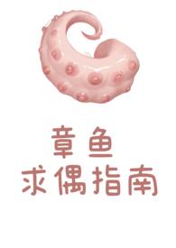 章鱼求偶指南TXT免费阅读